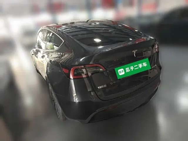 Tesla Model Y — Фото автомобиля 6