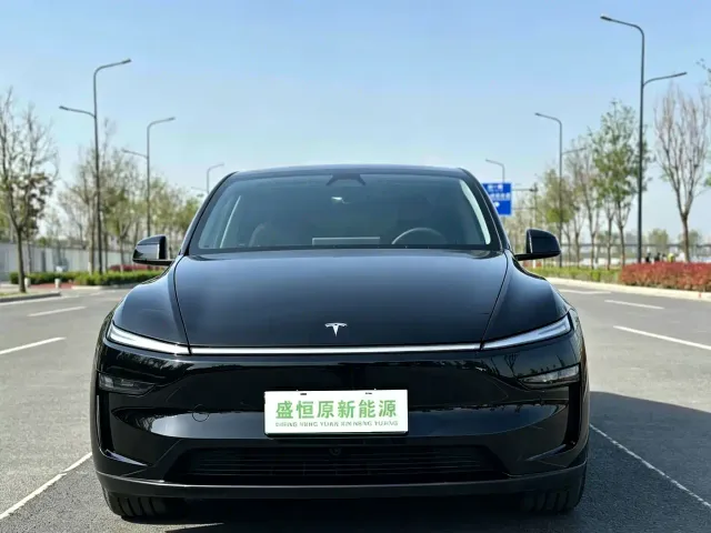 Tesla Model Y — Фото автомобиля 2