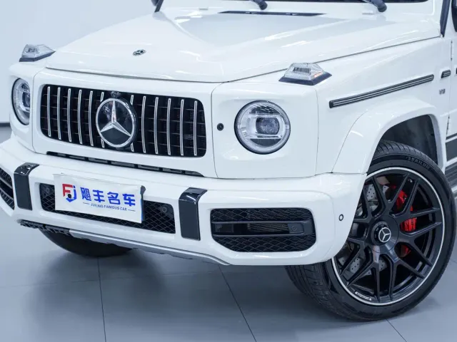Mercedes-Benz G-Class — Фото автомобиля 6