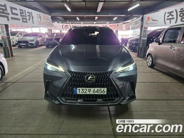 Фотография автомобиля — Lexus NX