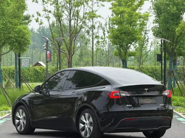 Tesla Model Y — Фото автомобиля 10
