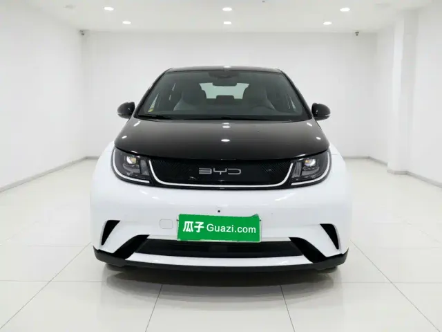 BYD Dolphin — Фото автомобиля 2
