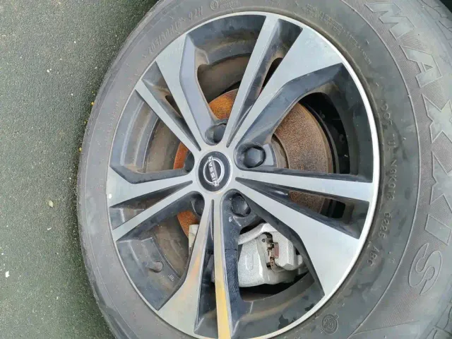 Nissan Sylphy — Фото автомобиля 8