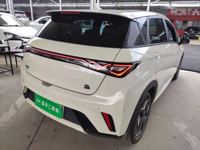 BYD Dolphin — Фото автомобиля 6