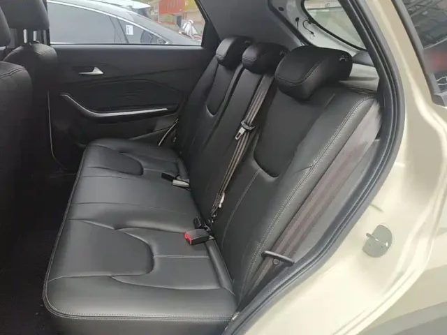 Chery Tiggo 3x — Фото автомобиля 16