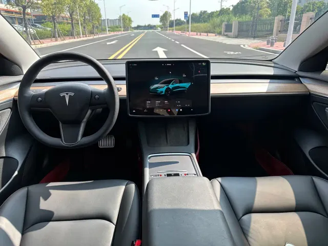 Tesla Model 3 — Фото автомобиля 6