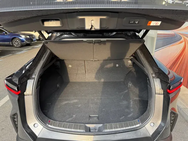 Lexus RZ — Фото автомобиля 6