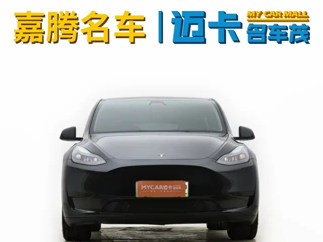 Tesla Model Y — Фото автомобиля 2