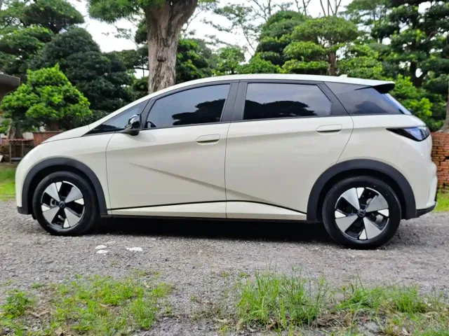 BYD Dolphin — Фото автомобиля 14