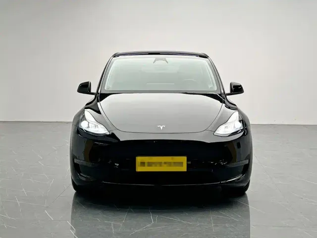 Tesla Model Y — Фото автомобиля 2