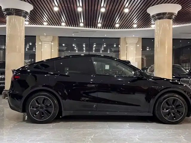 Tesla Model Y — Фото автомобиля 12