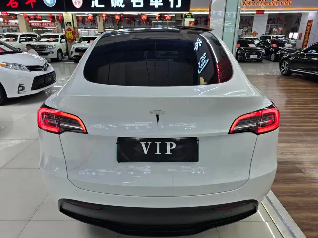 Tesla Model Y — Фото автомобиля 6