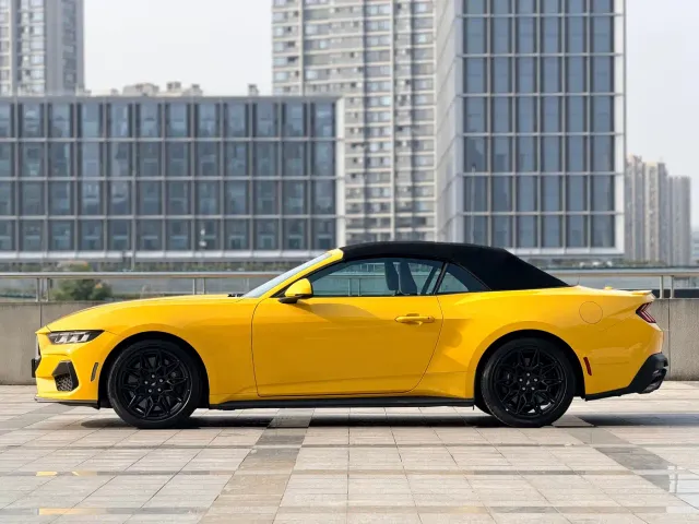 Ford Mustang — Фото автомобиля 10