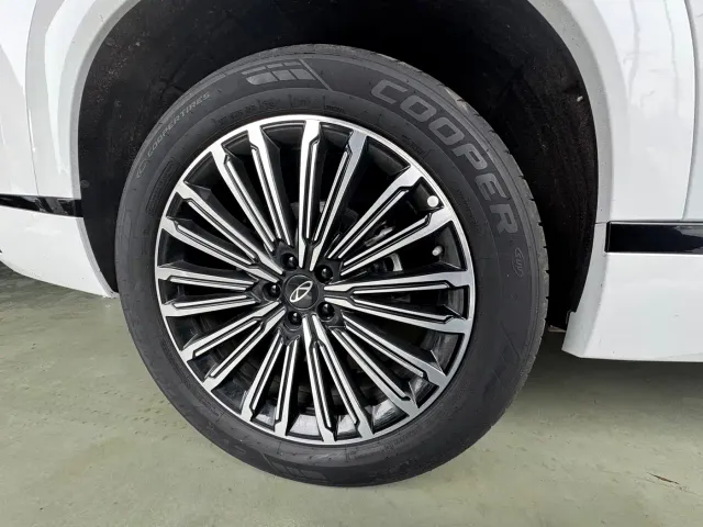Chery Tiggo 9 — Фото автомобиля 24