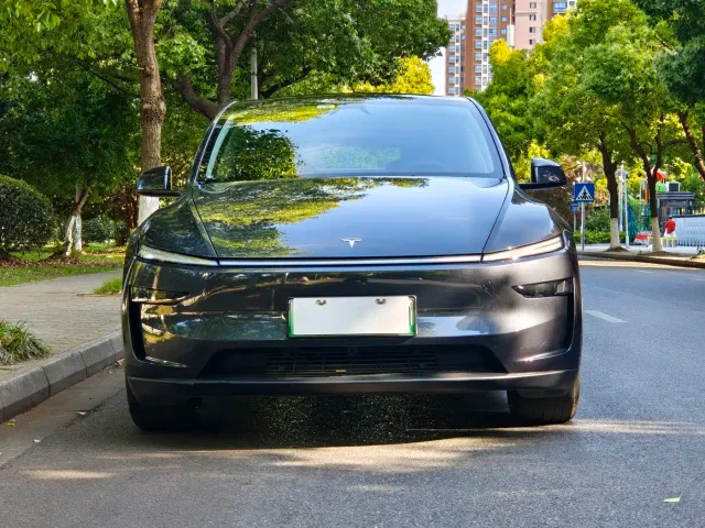 Tesla Model Y — Фото автомобиля 2