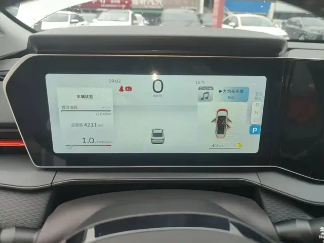 Geely Binrui — Фото автомобиля 11
