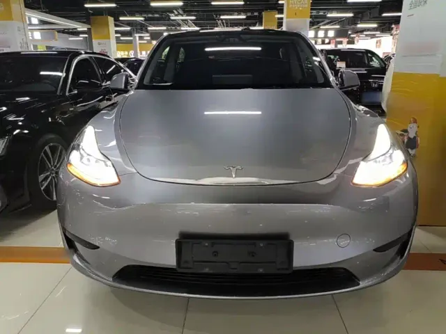 Tesla Model Y — Фото автомобиля 2
