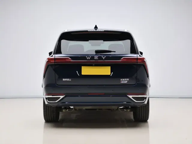 Wey Lanshan — Фото автомобиля 5