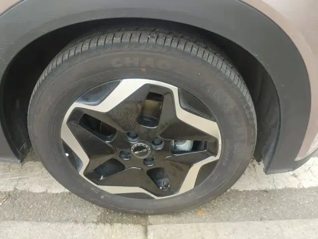BYD Dolphin — Фото автомобиля 6