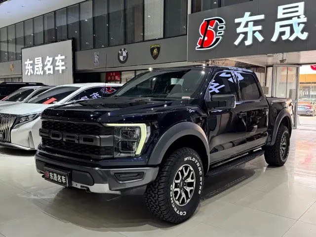 Ford F-150 Raptor — Фото автомобиля 3
