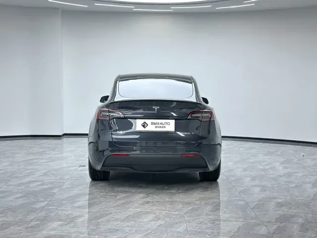 Tesla Model Y — Фото автомобиля 3