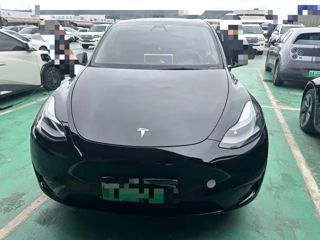 Tesla Model Y — Фото автомобиля 2