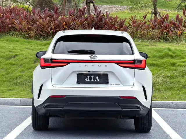 Lexus NX — Фото автомобиля 5