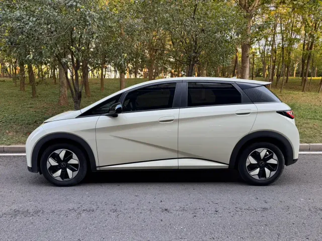 BYD Dolphin — Фото автомобиля 4