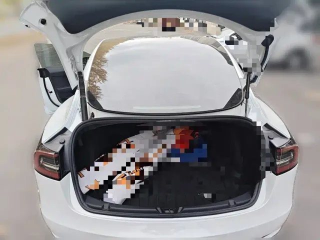 Tesla Model 3 — Фото автомобиля 20