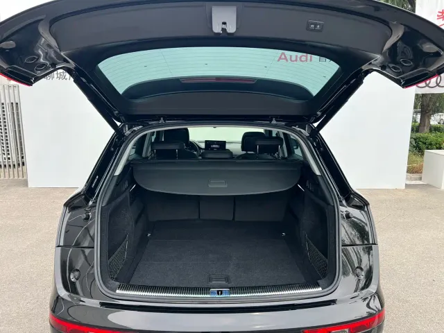 Audi Q5L — Фото автомобиля 14