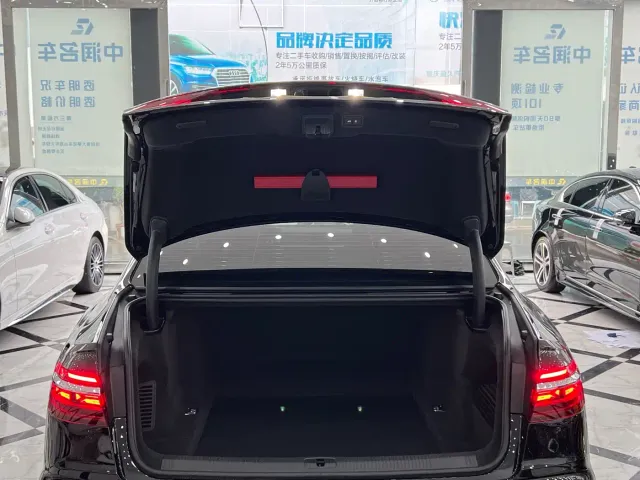 Audi A8 — Фото автомобиля 12