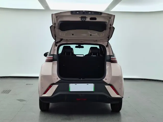 BYD Seagull — Фото автомобиля 11