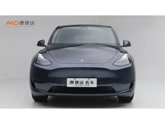 Tesla Model Y — Фото автомобиля 2