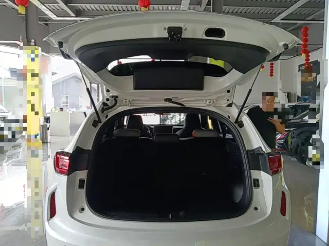Haval Haval Chitu 2021 Turbo Edition 1.5T Golden Rabbit — Фото автомобиля 18