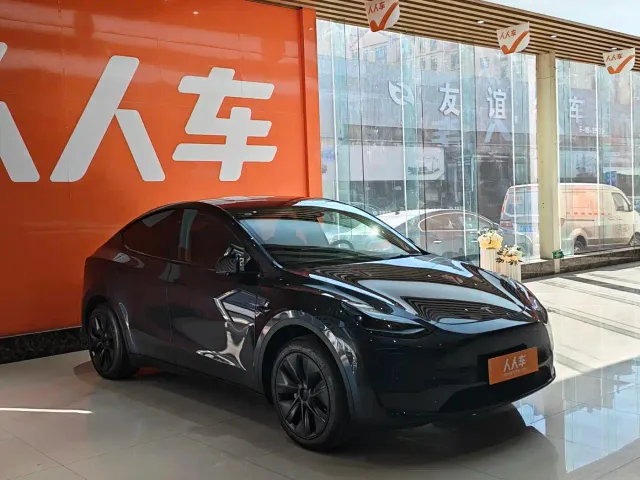 Tesla Model Y — Фото автомобиля 3