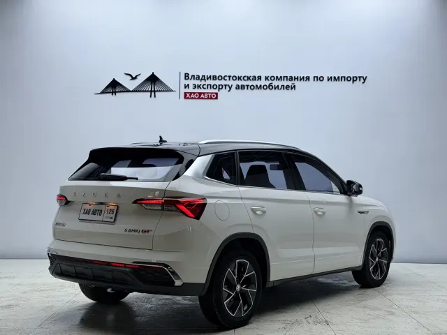 Skoda Kamiq — Фото автомобиля 6