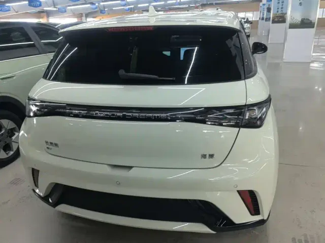 BYD Dolphin — Фото автомобиля 5