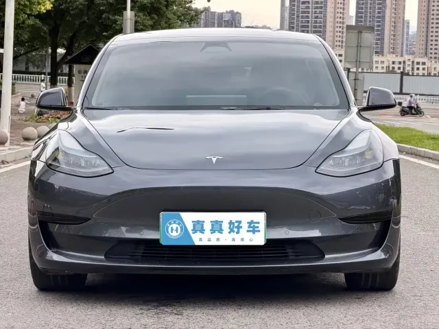 Tesla Model 3 2022 Model Rear-Wheel Drive Version — Фото автомобиля 2