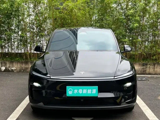 Tesla Model Y — Фото автомобиля 2