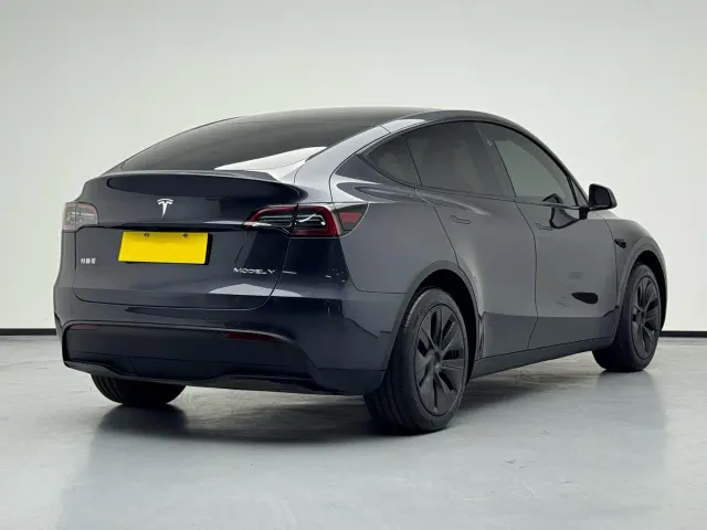 Tesla Model Y — Фото автомобиля 3