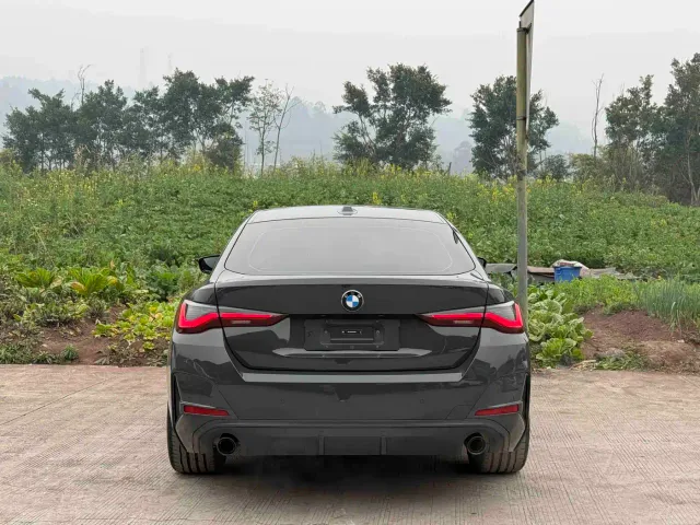 BMW 4 Series — Фото автомобиля 21