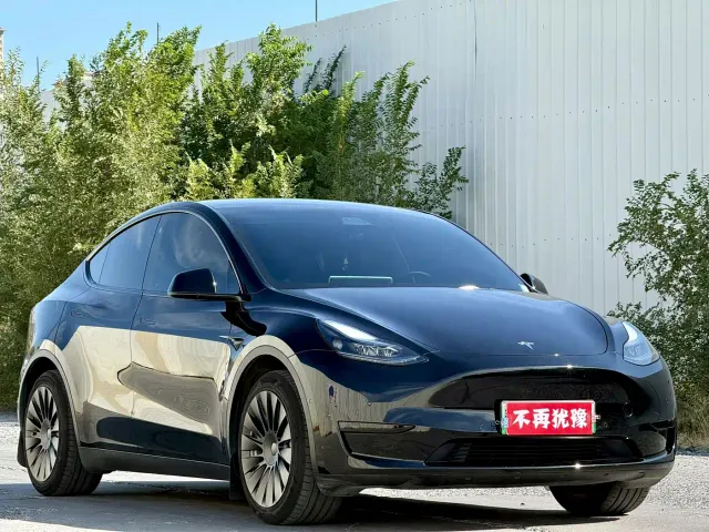 Tesla Model Y — Фото автомобиля 3