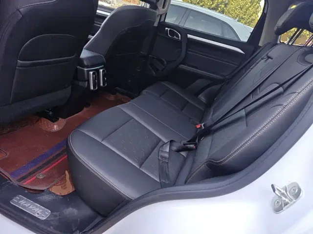 Haval Big Dog — Фото автомобиля 16