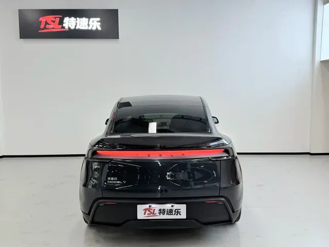 Tesla Model Y — Фото автомобиля 17