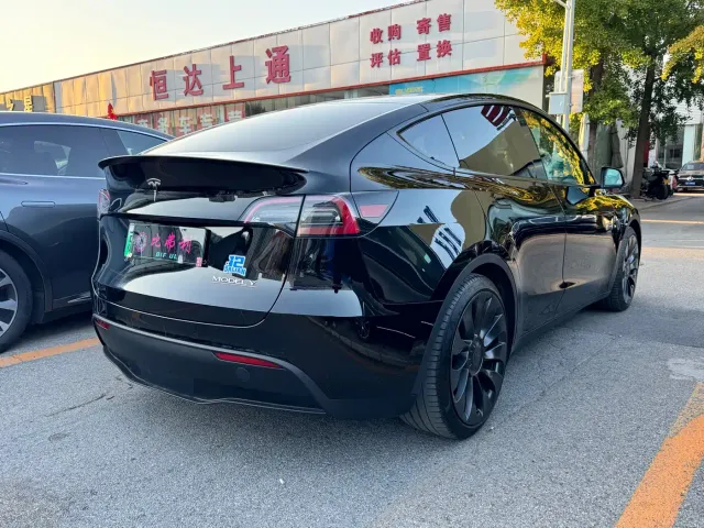 Tesla Model Y — Фото автомобиля 9