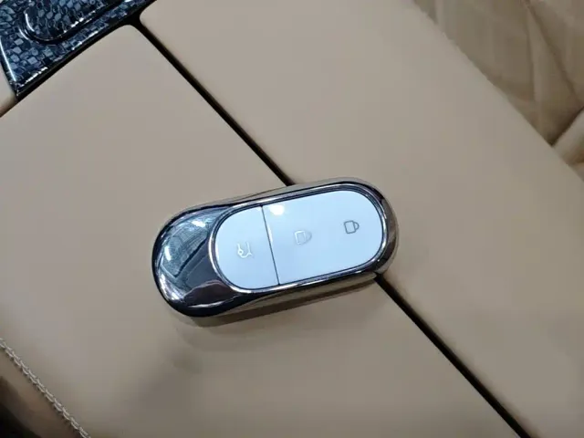 Leapmotor Leapmotor C11 2024 Pure Electric 580 Premium Edition — Фото автомобиля 8