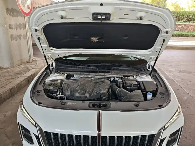 Hongqi H5 — Фото автомобиля 19