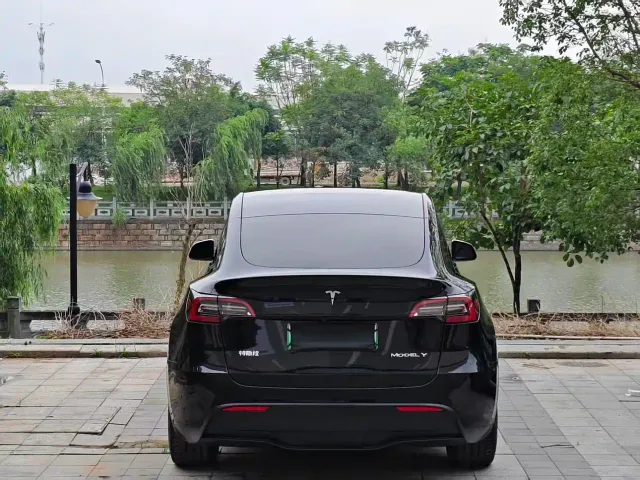 Tesla Model Y — Фото автомобиля 4