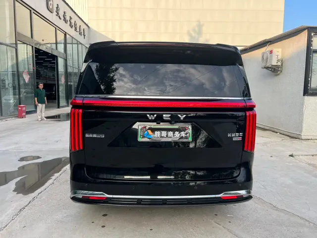 Wey Alpine — Фото автомобиля 12