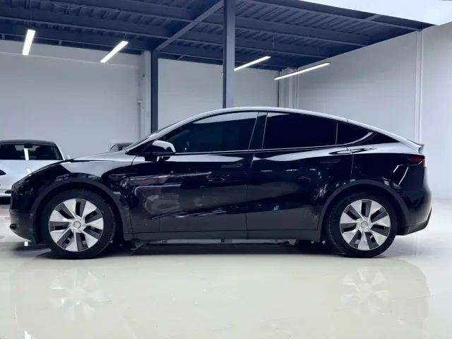 Tesla Model Y — Фото автомобиля 2